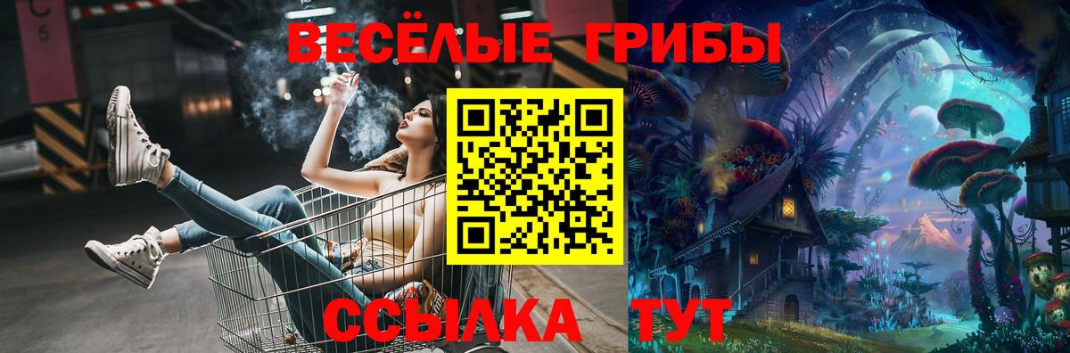 Псилоцибиновые грибы Magic Shrooms Удомля